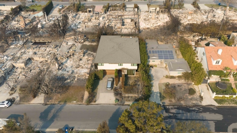 Т-банда и Малибуполь Т-банда и Малибуполь