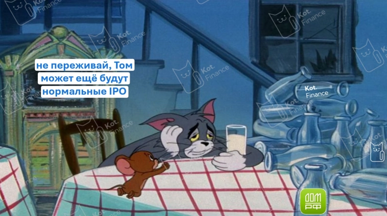 ⭐️Котайджест🐾 Неделя перемен. Итоги, которые нельзя пропустить 🙈 SFI, Европлан, М.Видео, IPO и многое другое