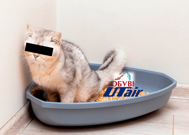 ⭐️Реструктуризация облигаций. Видение ЦБ. Статистика. Реальность: ФинАвиа, Гарант-Инвест, Обувь России. Что ждет 🚚Монополию? Много букв📄