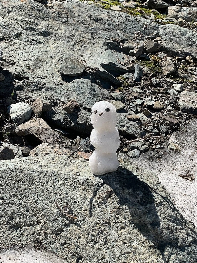 Отпуск и отдых от биржи Отпуск и отдых от биржи