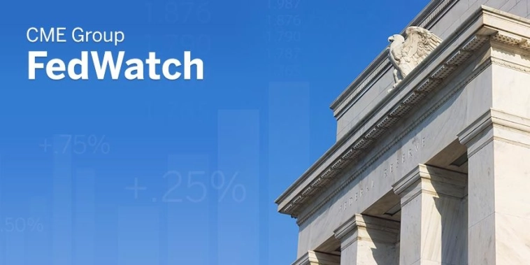 CME FedWatch Tool — как рынок угадывает решения ФРС