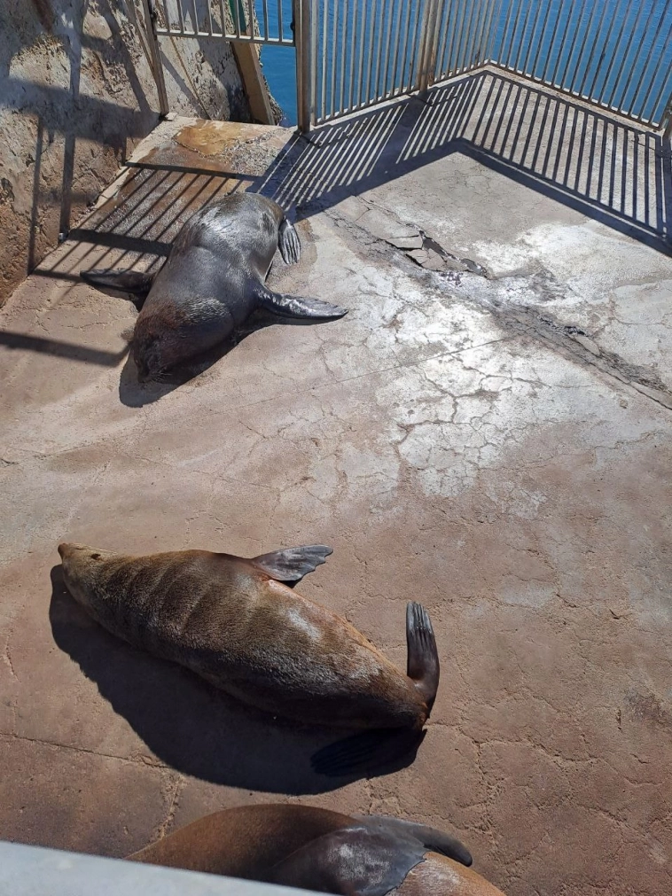 Вот для чего я инвестирую :)