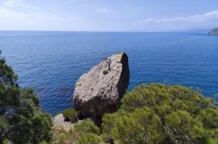 Роспотребнадзор: пляжи Крыма соответствуют всем гигиеническим нормативам...