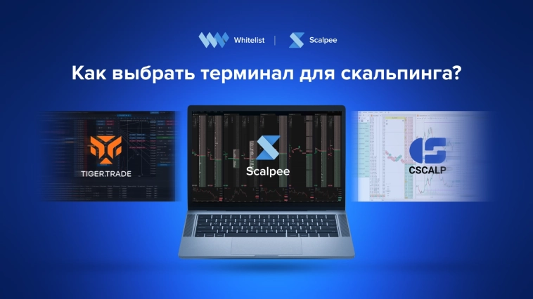 Как выбрать терминал для скальпинга?