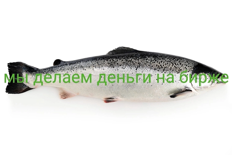 Сфера влияния, круг интересов и ось зла