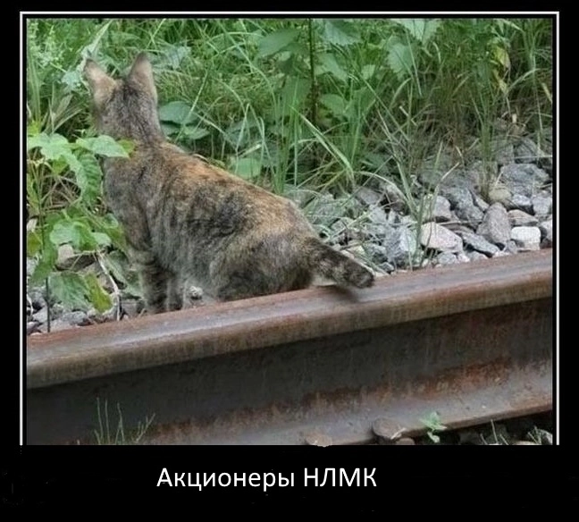 НЛМК - всё плохо? Сколько дивидендов ждать