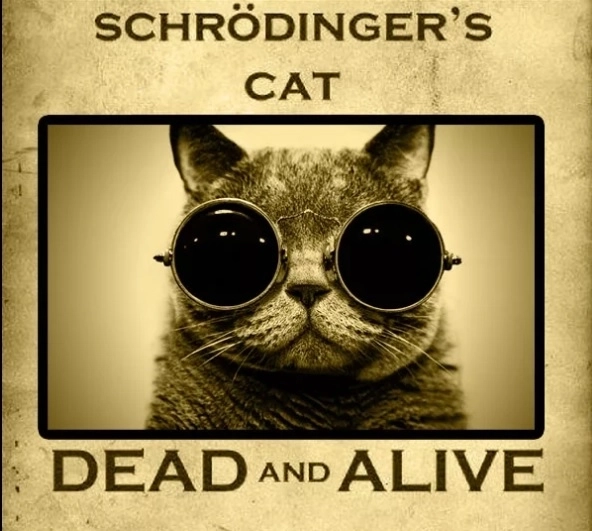 Непредсказуемые инвестиции Шредингера Непредсказуемые инвестиции Шредингера