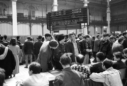 Начало биржевой эпохи: торги акциями в России в 1995-м