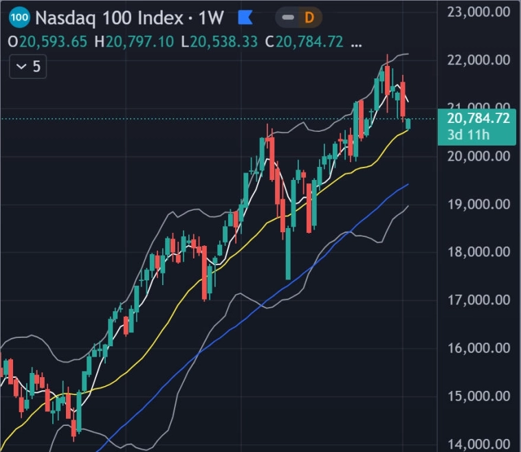 🐻 Медведь 2025 в цифрах и 7-летний кризисный цикл