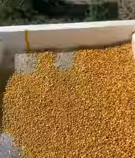 Как я заработал 3,6 млн за сезон, потому что тычинка хочет попасть на пестик