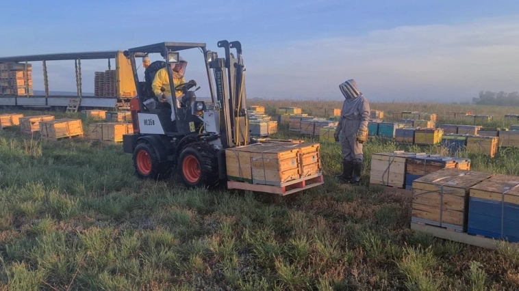 Как я заработал 3,6 млн за сезон, потому что тычинка хочет попасть на пестик Как я заработал 3,6 млн за сезон, потому что тычинка хочет попасть на пестик