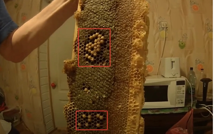 Как я заработал 3,6 млн за сезон, потому что тычинка хочет попасть на пестик Как я заработал 3,6 млн за сезон, потому что тычинка хочет попасть на пестик