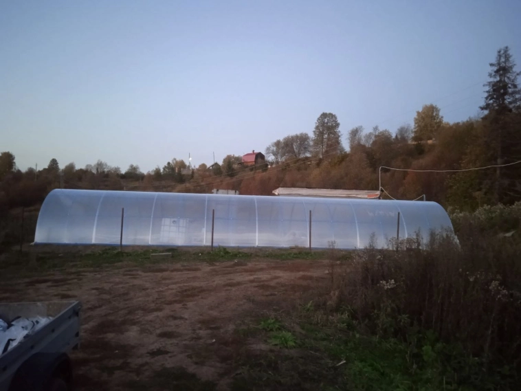 Я зарабатываю 1.8 млн в год, но мне нужно постараться, чтобы они не умерли