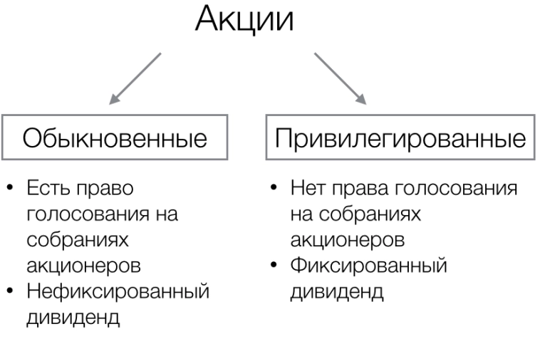 Префы против системы: как миноритарии внезапно получили власть 💥