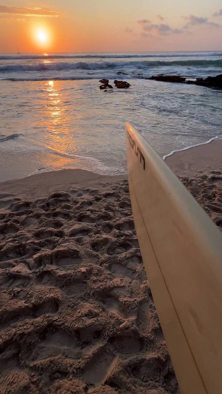 Улетел на зимовку и открыл школу сёрфинга во Вьетнаме. Сколько удалось заработать?