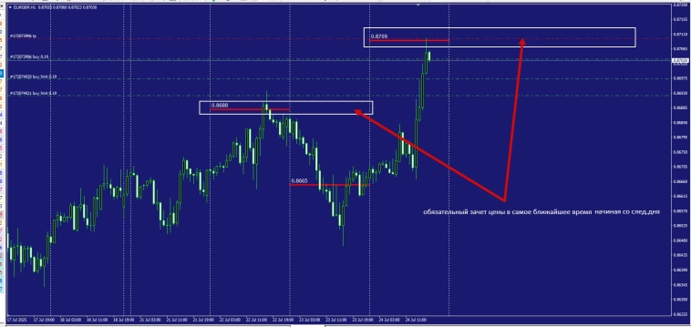 Fx / Interbank Fixing 24.07.25
