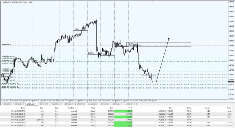 Fx / Fixing 16.00PM / Кролики это не только ценный мех.