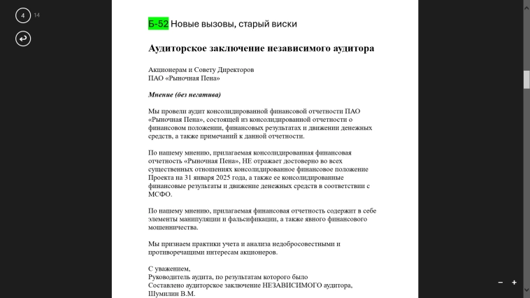 <молния> ПАО "Рыночная Пена" - отчет по МСФО за 2024 год