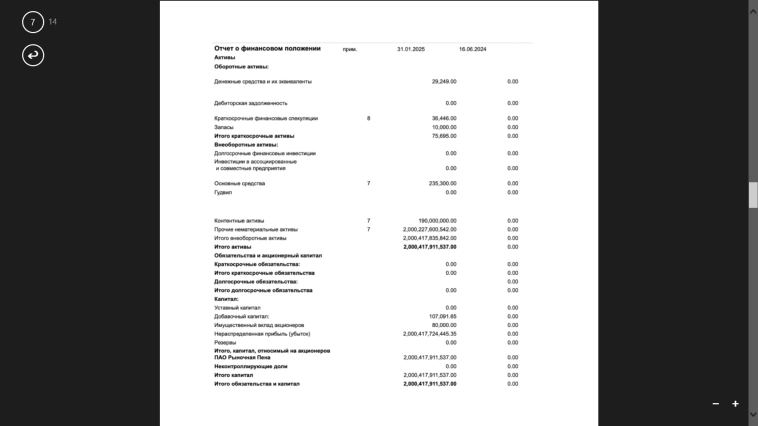 <молния> ПАО "Рыночная Пена" - отчет по МСФО за 2024 год