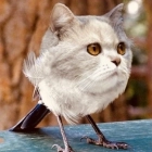 Виталий Калугин