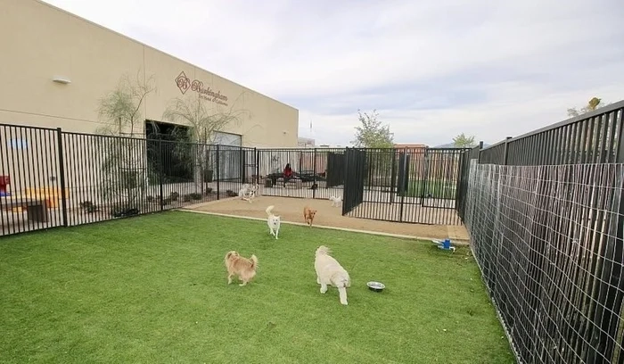 Сколько надо вложить и сколько можно зарабатывать на зоогостиничном бизнесе? Сколько надо вложить и сколько можно зарабатывать на зоогостиничном бизнесе?