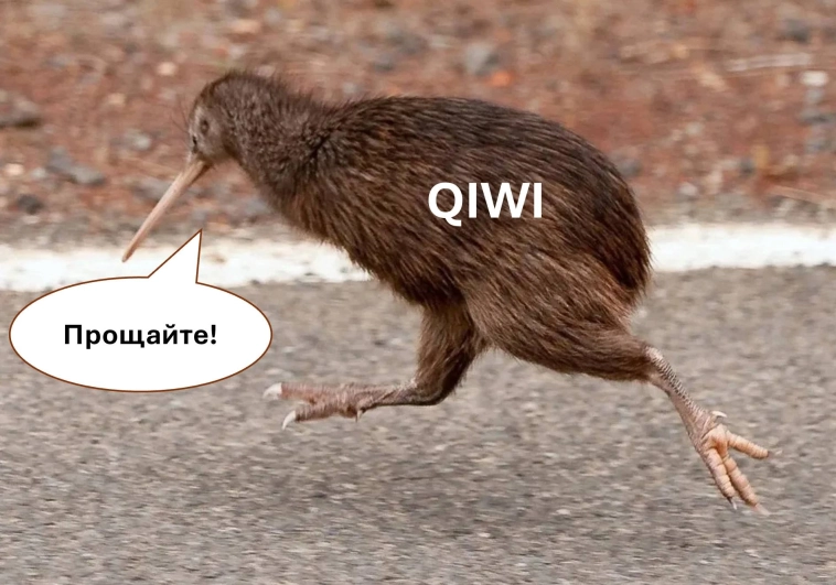 QIWI: допевающий в терновнике QIWI: допевающий в терновнике