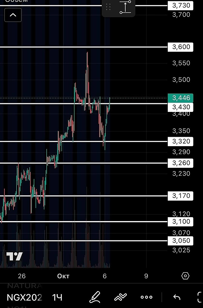 Ежедневный обзор NG-10.25