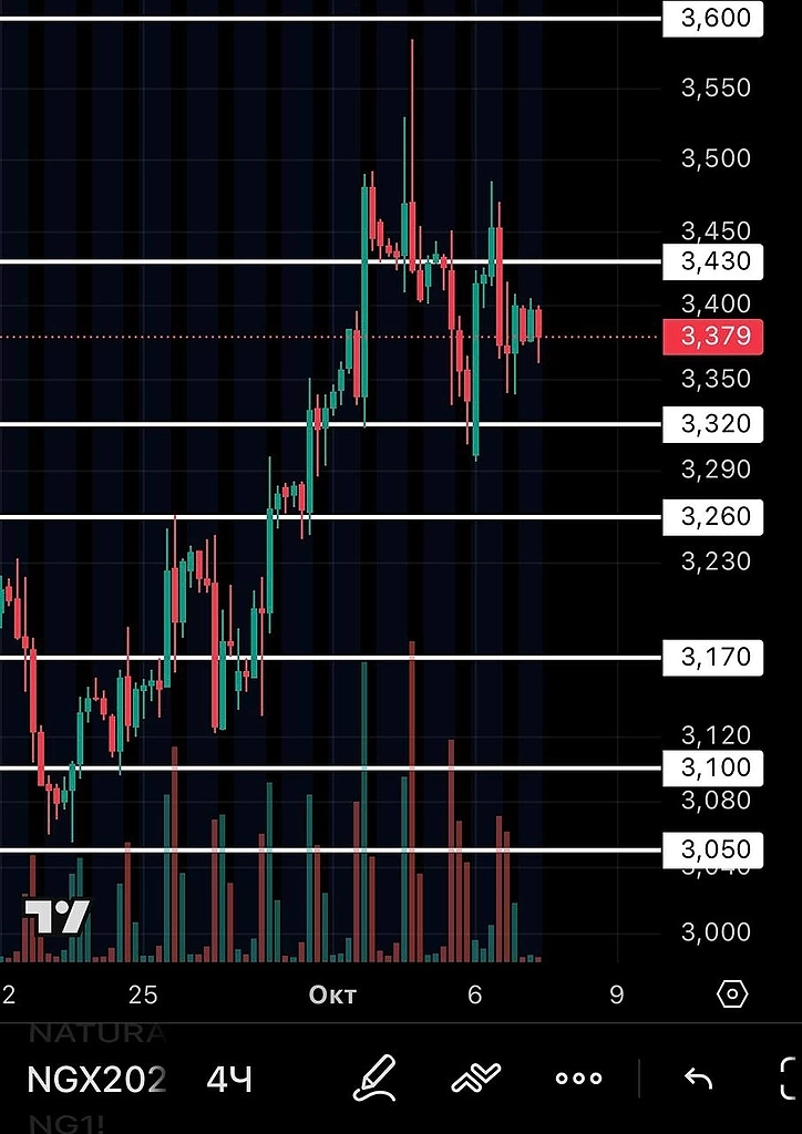 Ежедневный обзор NG-10.25