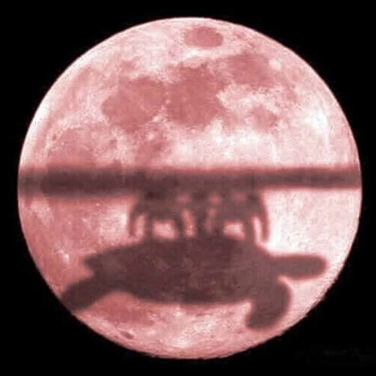 Ожидания скорого мира продолжили рост