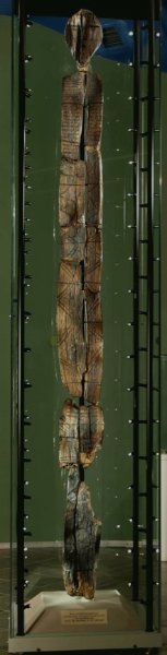 русская деревянная фигура из болота самая старая в мире, 11000 лет