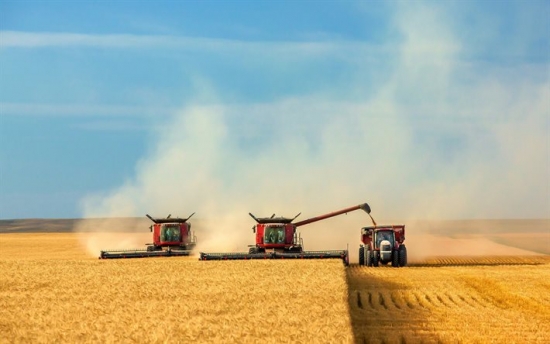 Санкции Запада вывели Россию в сельскохозяйственные сверхдержавы.