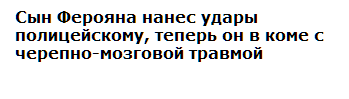 Про инцидент сына депутата и полицейского