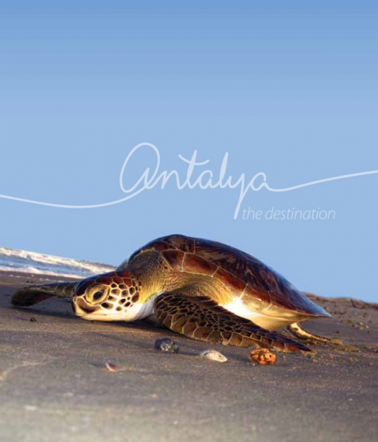 Анталия - путь черепах