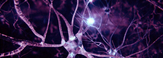 Алгоритм долголетия: Новые технологии для диагностики и лечения заболеваний нервной системы