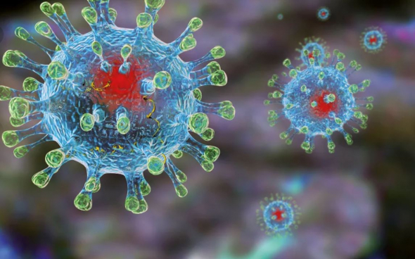 коронавирус поражает ЦНС человека