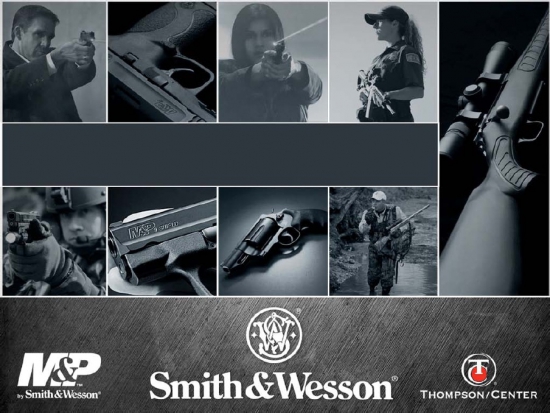Chart Of The Day: Smith & Wesson Sales