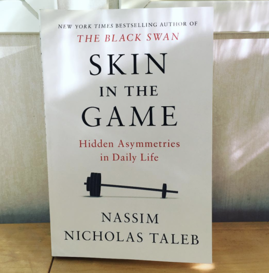 «Рискуя собственной шкурой» Нассим Талеб. Ключевые идеи из книги. ВидеоКонспект.Часть1