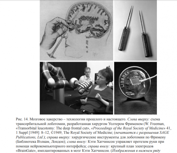 Мозг: прошлое и будущее. Саммари книги. Часть 2. мозгоцентризм. когнитивная революция. Интернет-скрининг. Нейротехнологический беспредел. хакнуть мозг. Нейро-нанороботы