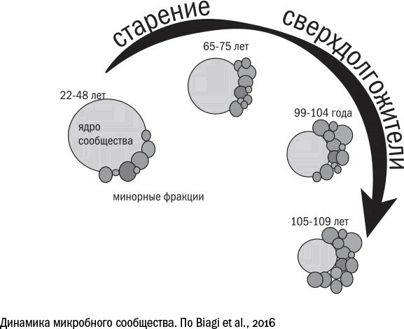 Cтарение. Часть II Портрет врага. Молекулы. Клетки.Ткани: Борьба кланов. Микробы. Иммунитет. Гормоны.Кровь: Переливание молодости. Возрастные заболевания.  Биологический возраст