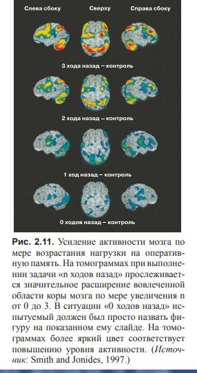 ВВЕДЕНИЕ В КОГНИТИВНЫЕ НЕЙРОНАУКИ. Глава 2. Концептуальная структура когнитивной нейронауки.