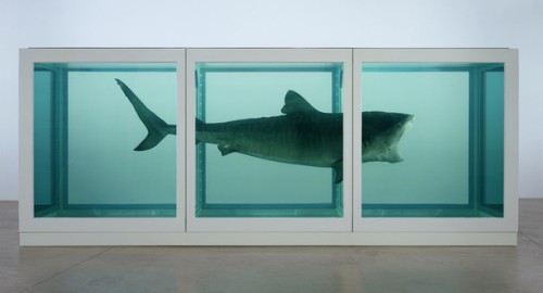 Как продать за $12 миллионов чучело акулы. Скандальная правда о современном искусстве и аукционных домах.