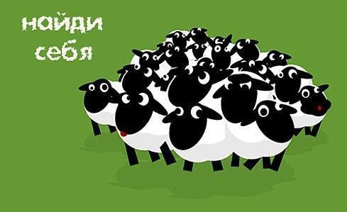 Ща рубанем деньжат по быстрому или куда побежит стадо баранов.