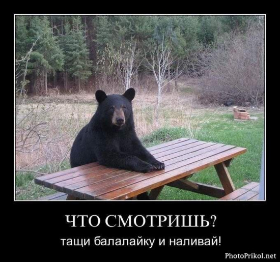 Медведь всё-таки не хорёк)