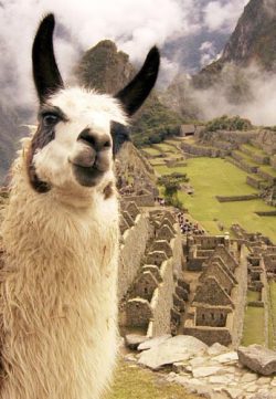 Перу - Мекка фальшивых долларов
