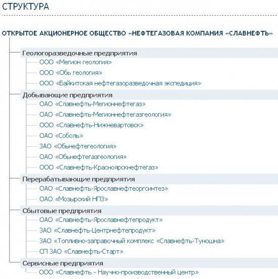 Разбор компании ОАО "НГК "Славнефть"