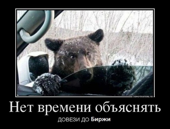 Медведи не опоздайте!!!!!