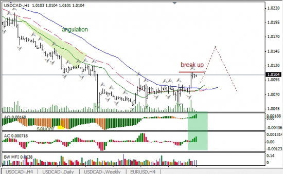 RoboForex: анализ индикаторов Б. Вильямса для USD/CAD и NZD/USD на 03.05.2013