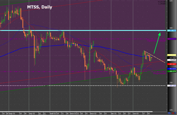 MTSS, Daily