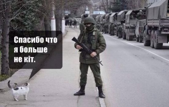 Военная операция НАТО в Крыму исключена-мин.обор.Чехии