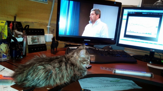 АМГ vs My Cat))